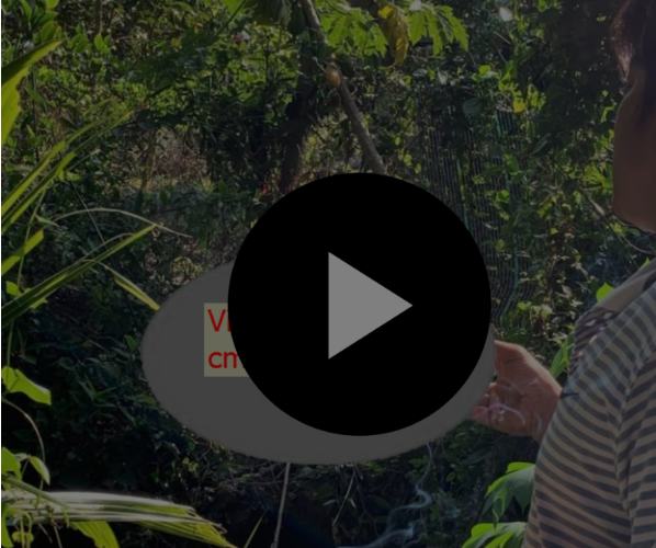 Cái kết đắng lòng từ một phút sơ sẩy khi đang làm việc tại Trà Vinh 🚨