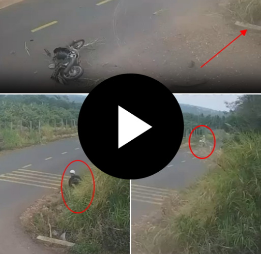 ĐÌNH CHỈ CÔNG TÁC THIẾU TÁ C.S.G.T LIÊN QUAN ĐẾN VỤ TNGT KHIẾN NAM SINH LỚP 12 “OFFLINE” 🛑🚨🚧